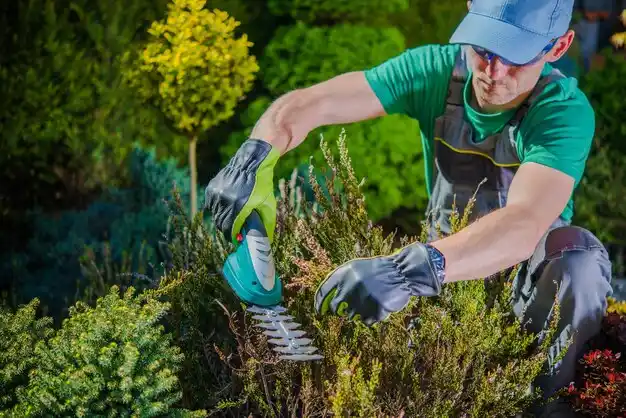landscaping services Lowry City